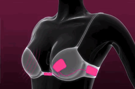 bra1